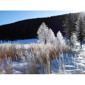 รูปถ่าย สวิสเซอร์แลนด์(Switzerland) เซนต์มอริตซ์ ชลาริญญา(St Moritz Schlarigna) 2007-01 31