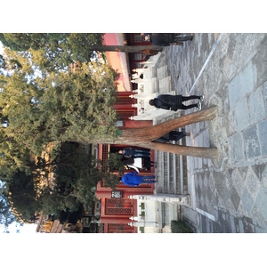 รูปถ่าย จีน(China) ปักกิ่ง(Beijing) พระราชวังต้องห้าม(Forbidden City) 2015-12 7
