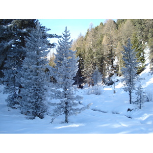 รูปถ่าย สวิสเซอร์แลนด์(Switzerland) เซนต์มอริตซ์ ชลาริญญา(St Moritz Schlarigna) 2007-01 79