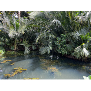 รูปถ่าย สิงคโปร์(Singapore) สวนพฤกษศาสตร์สิงคโปร์(Singapore Botanic Gardens) 2023-01 99