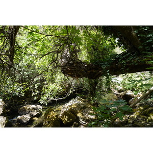 รูปถ่าย ฝรั่งเศส(France) ฟงแตน-เดอ-โวกลูซ(Fontaine-de-Vaucluse) 2017-08 54