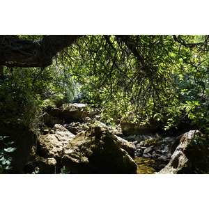 รูปถ่าย ฝรั่งเศส(France) ฟงแตน-เดอ-โวกลูซ(Fontaine-de-Vaucluse) 2017-08 55