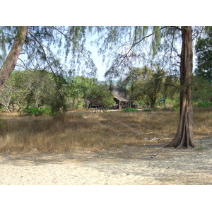 รูปถ่าย พม่า(Myanmar) หาดหม่องมะกัน(Maungmagan beach) 2005-01 14
