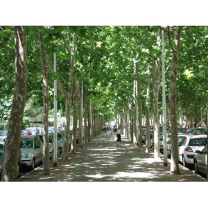 รูปถ่าย ฝรั่งเศส(France) มงเปลลีเยร์(Montpellier) 2006-06 134