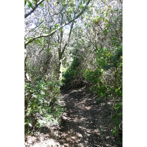 รูปถ่าย ฝรั่งเศส(France) เกาะปอร์เกอรอล(Porquerolles Island) แหลมเลอแก็ง(Pointe du Lequin) 2008-05 29