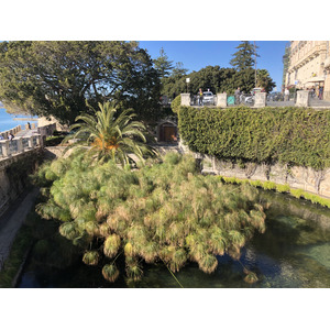 รูปถ่าย อิตาลี(Italy) ซิซิลี(Sicily) ออร์ตีเจีย(Ortigia) 2020-02 176