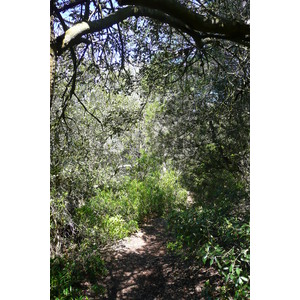 รูปถ่าย ฝรั่งเศส(France) เกาะปอร์เกอรอล(Porquerolles Island) แหลมเลอแก็ง(Pointe du Lequin) 2008-05 45