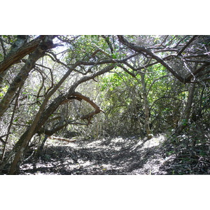 รูปถ่าย แอฟริกาใต้(South Africa) หุบเขาเนเจอร์ส(Nature's Valley) 2008-09 2