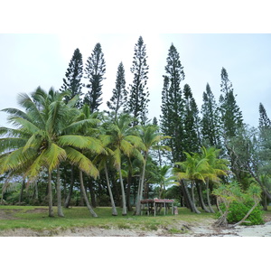 รูปถ่าย นิวแคลิโดเนีย(New Caledonia) เกาะต้นสน(Ile des pins) หาดคูโต(Kuto Beach) 2010-05 15