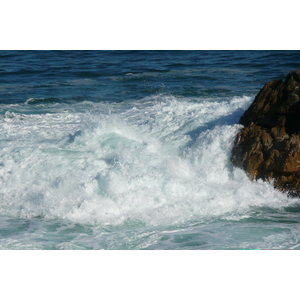 รูปถ่าย แอฟริกาใต้(South Africa) เฮอร์มานัส(Harmanus) 2008-09 240