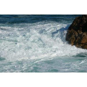 รูปถ่าย แอฟริกาใต้(South Africa) เฮอร์มานัส(Harmanus) 2008-09 308
