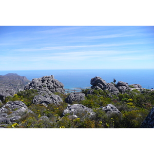 รูปถ่าย แอฟริกาใต้(South Africa) เคปทาวน์(Cape Town) ภูเขาเทเบิล(Table Mountain) 2008-09 6