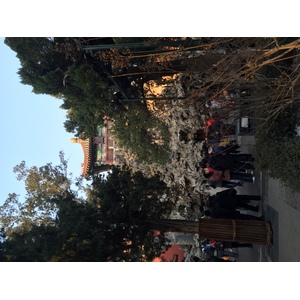 รูปถ่าย จีน(China) ปักกิ่ง(Beijing) พระราชวังต้องห้าม(Forbidden City) 2015-12 181