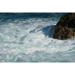 รูปถ่าย แอฟริกาใต้(South Africa) เฮอร์มานัส(Harmanus) 2008-09 259