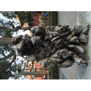 รูปถ่าย จีน(China) ปักกิ่ง(Beijing) พระราชวังต้องห้าม(Forbidden City) 2015-12 149