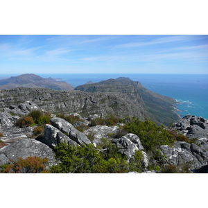 รูปถ่าย แอฟริกาใต้(South Africa) เคปทาวน์(Cape Town) ภูเขาเทเบิล(Table Mountain) 2008-09 18