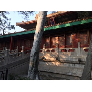 รูปถ่าย จีน(China) ปักกิ่ง(Beijing) พระราชวังต้องห้าม(Forbidden City) 2015-12 170