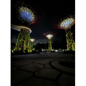 รูปถ่าย สิงคโปร์(Singapore) การ์เดนส์บายเดอะเบย์(Garden by the bay) 2023-01 27