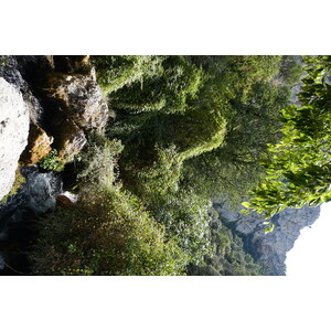 รูปถ่าย ฝรั่งเศส(France) ฟงแตน-เดอ-โวกลูซ(Fontaine-de-Vaucluse) 2017-08 20
