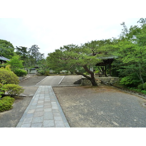 รูปถ่าย ญี่ปุ่น(Japan) เกียวโต(Kyoto) วัดนินนะจิ(Ninna ji Temple) 2010-06 39