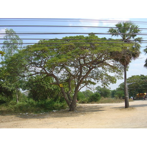 รูปถ่าย ไทย(Thailand) หาดจอมเทียน(Jomtien Beach) 2005-01 97