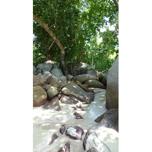 รูปถ่าย เซเชลส์(Seychelles) เกาะมาเฮ(Mahe) 2011-10 99