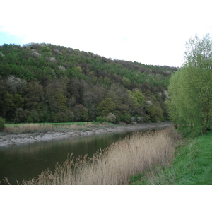 รูปถ่าย อังกฤษ(United Kingdom) ทินเทิร์น(Tintern) 2006-05 66
