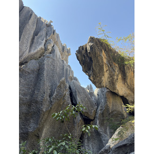 รูปถ่าย จีน(China) ป่าหินสือหลิน(Shilin Stone Forest) 2026-01 287