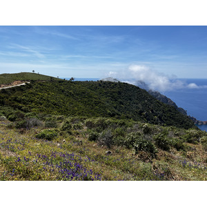 รูปถ่าย ฝรั่งเศส(France) คอร์สิคา(Corsica) แหลมกาโปรอสโซ(Capo Rosso) 2023-05 17