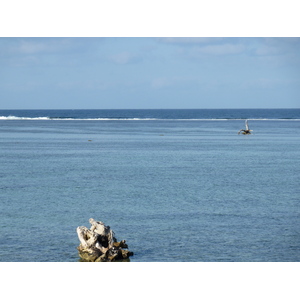 รูปถ่าย ฟิจิ(Fiji) รีสอร์ตแชงกรี-ลาฟิเจียน(Shangri La Fijian Resort) 2010-05 16