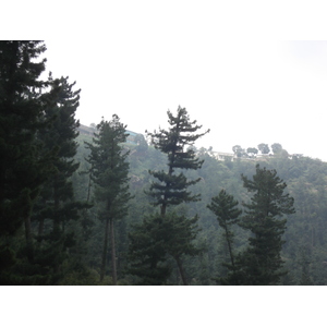 รูปถ่าย ปากีสถาน(Pakistan) มืร์รี(Murree) 2006-08 41