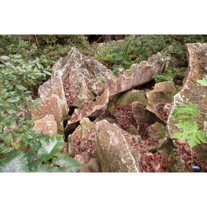รูปถ่าย เซเชลส์(Seychelles) เกาะลาดีก(La Digue) 2011-10 63