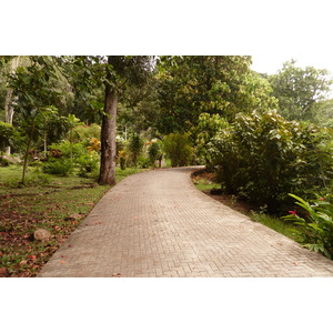รูปถ่าย เซเชลส์(Seychelles) เกาะลาดีก(La Digue) 2011-10 154