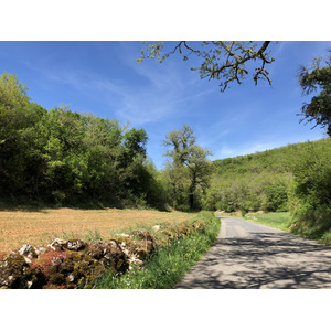 รูปถ่าย ฝรั่งเศส(France) ฟลัวรัก(Floirac) 2018-04 24