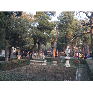รูปถ่าย จีน(China) ปักกิ่ง(Beijing) พระราชวังต้องห้าม(Forbidden City) 2015-12 134