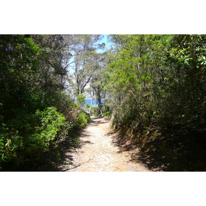 รูปถ่าย ฝรั่งเศส(France) เกาะปอร์เกอรอล(Porquerolles Island) หาดอาลีกัสตร์(Alycastre beach) 2008-05 13