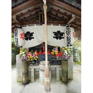 รูปถ่าย ญี่ปุ่น(Japan) เกียวโต(Kyoto) วัดนินนะจิ(Ninna ji Temple) 2010-06 59