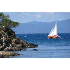รูปถ่าย ฝรั่งเศส(France) เกาะปอร์เกอรอล(Porquerolles Island) หาดอาลีกัสตร์(Alycastre beach) 2008-05 16