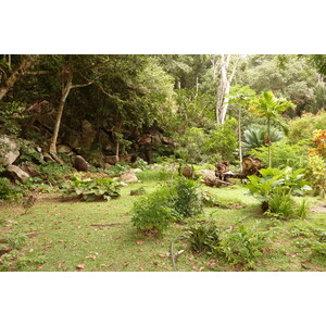 รูปถ่าย เซเชลส์(Seychelles) เกาะลาดีก(La Digue) 2011-10 136