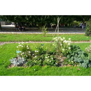 รูปถ่าย ฝรั่งเศส(France) ปารีส(Paris) สวนพันธ์ุพืช(Jardin des Plantes) 2007-08 125