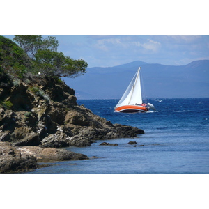 รูปถ่าย ฝรั่งเศส(France) เกาะปอร์เกอรอล(Porquerolles Island) หาดอาลีกัสตร์(Alycastre beach) 2008-05 10