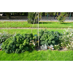 รูปถ่าย ฝรั่งเศส(France) ปารีส(Paris) สวนพันธ์ุพืช(Jardin des Plantes) 2007-08 141
