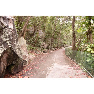 รูปถ่าย เซเชลส์(Seychelles) เกาะลาดีก(La Digue) 2011-10 168