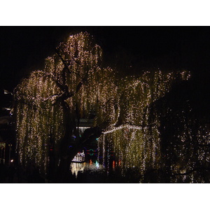 รูปถ่าย เดนมาร์ก(Denmark) โคเปนเฮเกน(Copenhagen) สวนสาธารณะทิโวลี(Tivoli Park) 2004-11 20