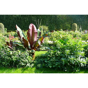 รูปถ่าย ฝรั่งเศส(France) ปารีส(Paris) สวนพันธ์ุพืช(Jardin des Plantes) 2007-08 64