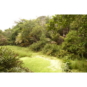 รูปถ่าย เซเชลส์(Seychelles) เกาะลาดีก(La Digue) 2011-10 75