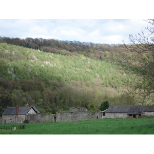 รูปถ่าย อังกฤษ(United Kingdom) ทินเทิร์น(Tintern) 2006-05 19