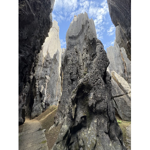 รูปถ่าย จีน(China) ป่าหินสือหลิน(Shilin Stone Forest) 2026-01 260