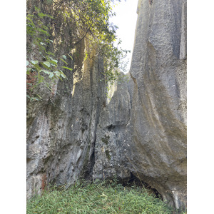 รูปถ่าย จีน(China) ป่าหินสือหลิน(Shilin Stone Forest) 2026-01 360