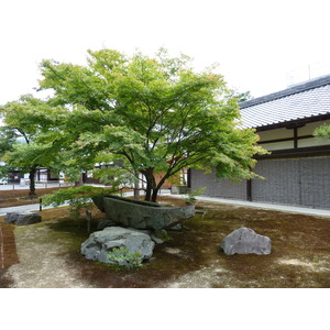 รูปถ่าย ญี่ปุ่น(Japan) เกียวโต(Kyoto) วัดคินกะกุจิ (ศาลาทอง)(Kinkakuji Temple(Golden Pavilion)) 2010-06 7